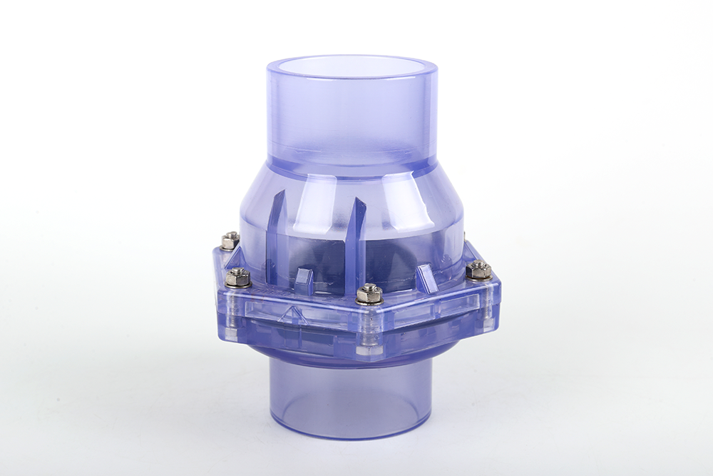 忻城透明翻板式止回阀